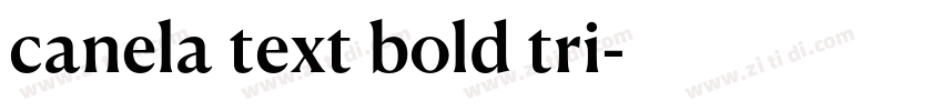 canela text bold tri字体转换